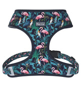 Reversible Harness - Flamingo Noir