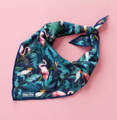 Cooling Bandana - Flamingo Noir