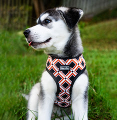 Reversible Harness - Western Weave