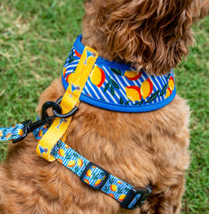 Reversible Harness - Capri Cocktails