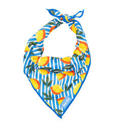 Cooling Bandana - Capri Cocktails