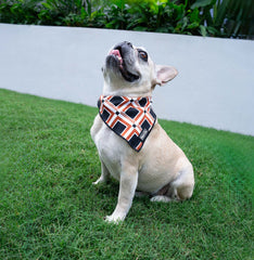 Cooling Bandana - Western Weave