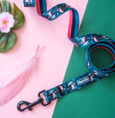 Leash - Flamingo Noir