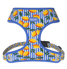 Reversible Harness - Capri Cocktails