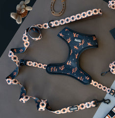 Leash - Western Weave