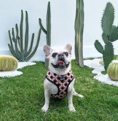 Reversible Harness - Western Weave