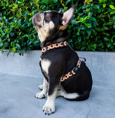 Strap Harness - Western Weave